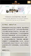 点击预览网站