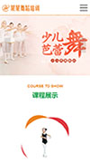 响应式幼儿舞蹈学校网站建设手机站缩略图