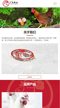 点击预览网站